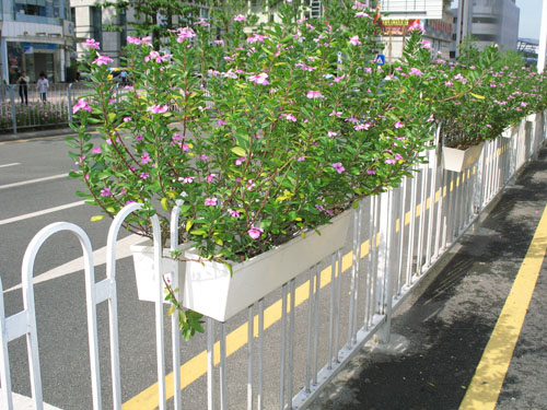 市政綠化帶花盆